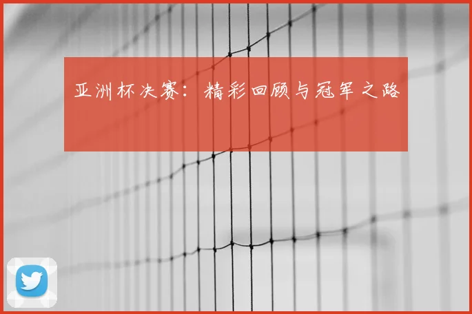 亚洲杯决赛:精彩回顾与冠军之路