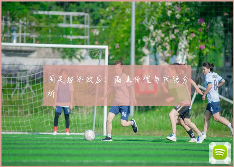 国足经济效应：商业价值与市场分析