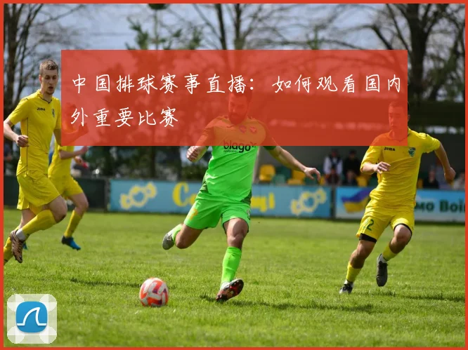 中国排球赛事直播：如何观看国内外重要比赛